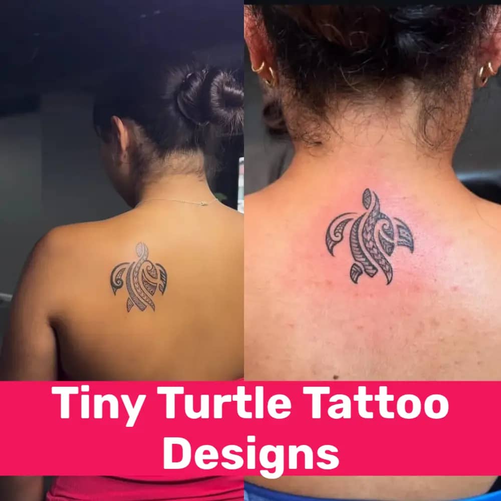 21 Minimalist Tiny Turtle Tattoo Designs: Simple & Meaningful