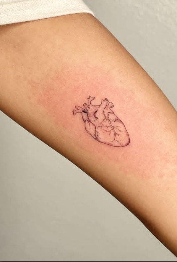 Tiny Anatomical Heart Tattoo