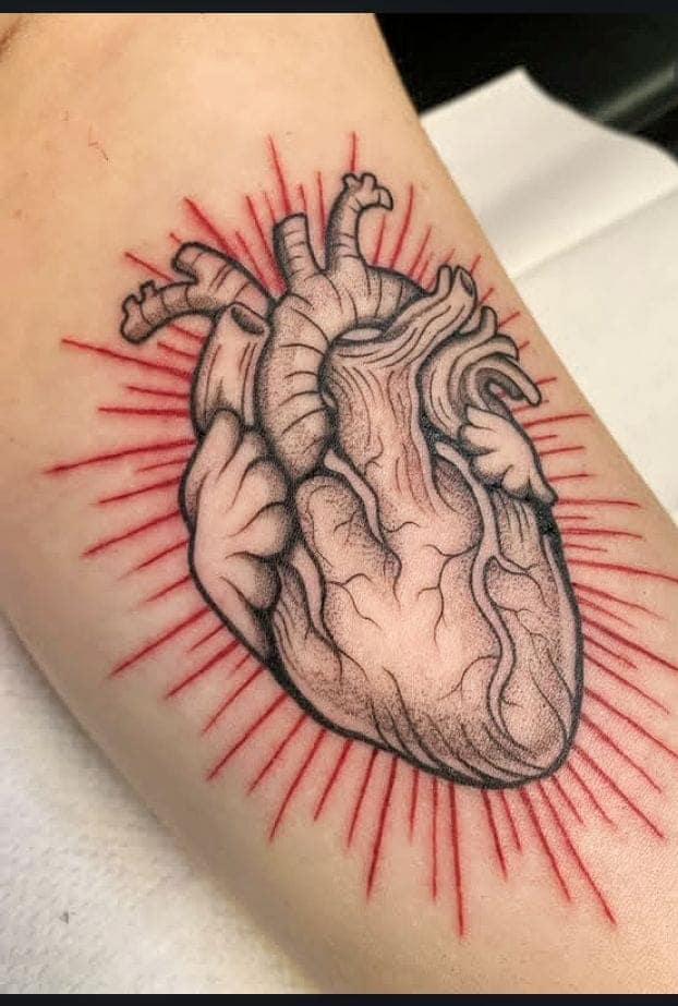 Anatomical Heart with Red Rays Tattoo