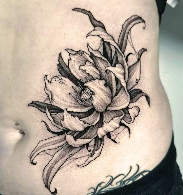 Large-Scale Hip Peony Blossom