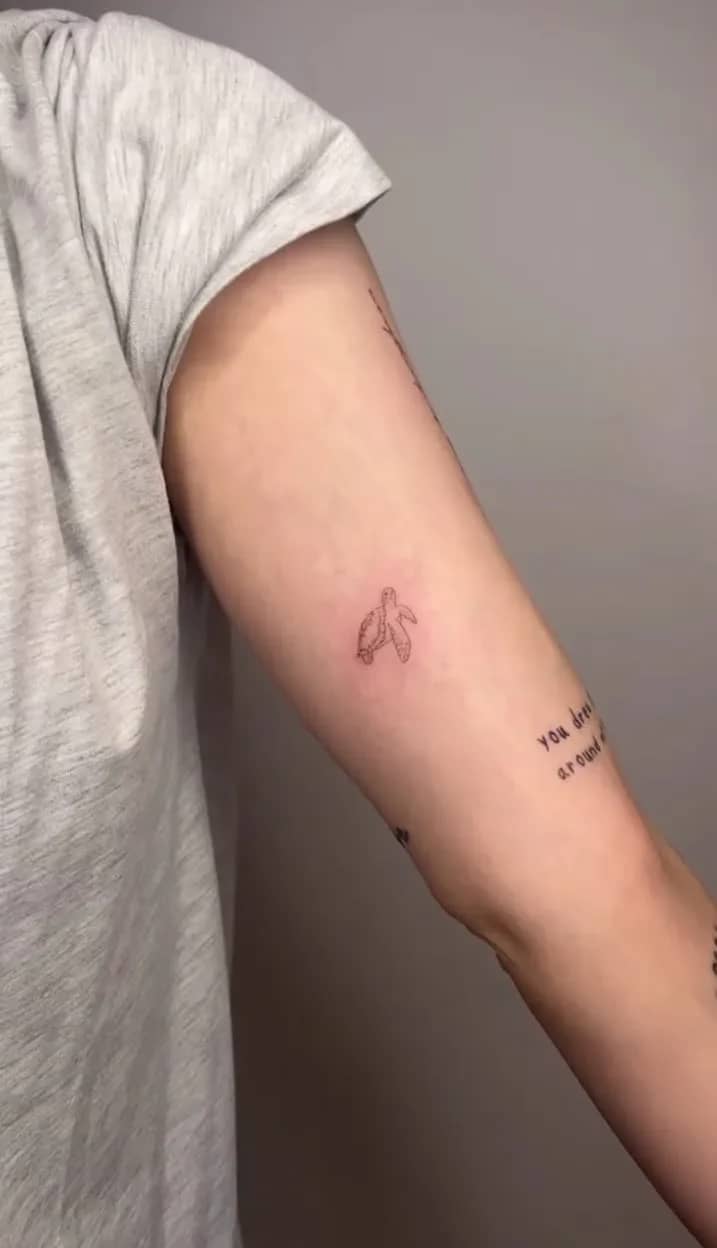 Subtle Arm Turtle Symbol: Wisdom in Minimal Lines