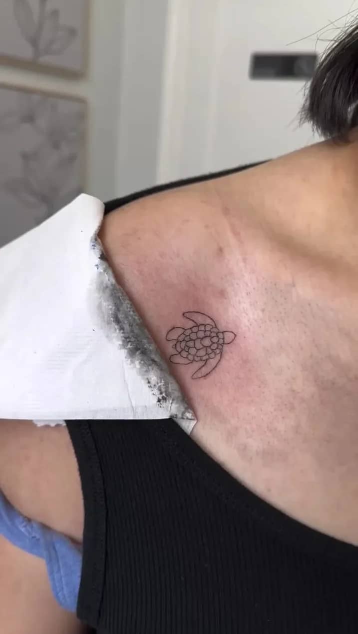 Discreet Neck Turtle: Protected Journey Symbolism