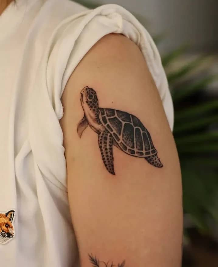 Detailed Calf Turtle: Realistic Black and Grey Shading