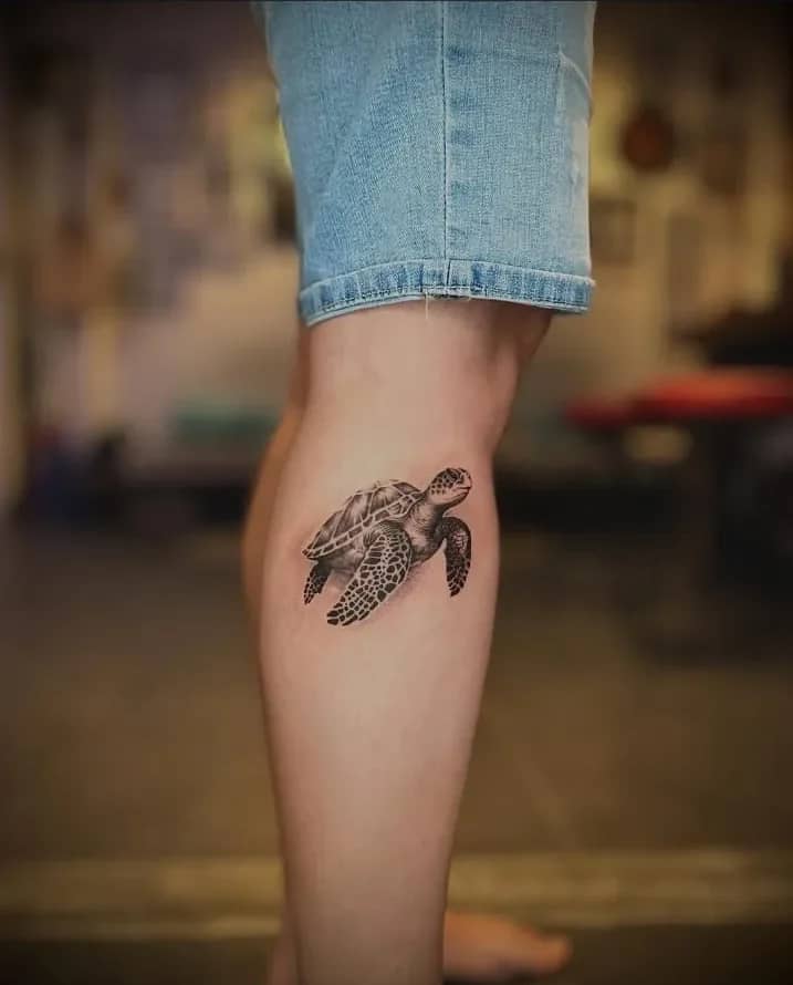 Realistic Calf Placement: Detailed Anatomical Turtle Design